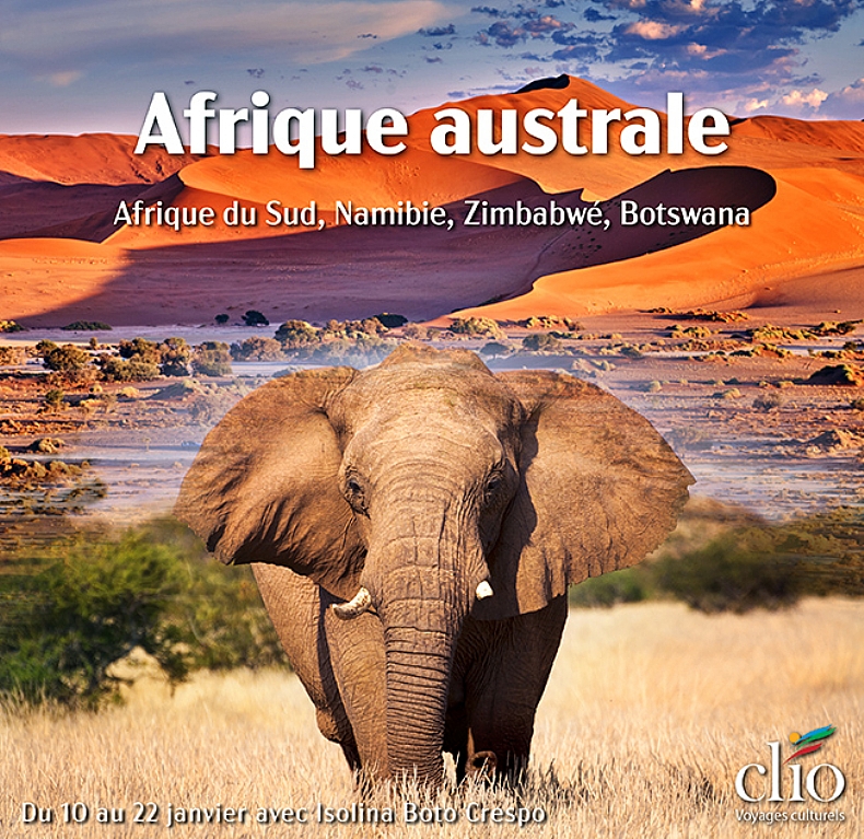 Trsors d'Afrique australe